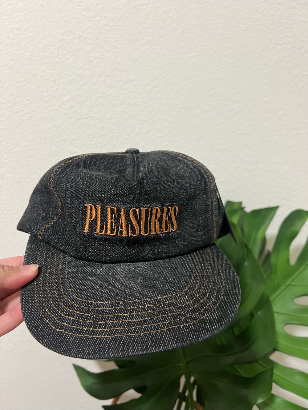 PLEASURES Embroidered Denim Cap